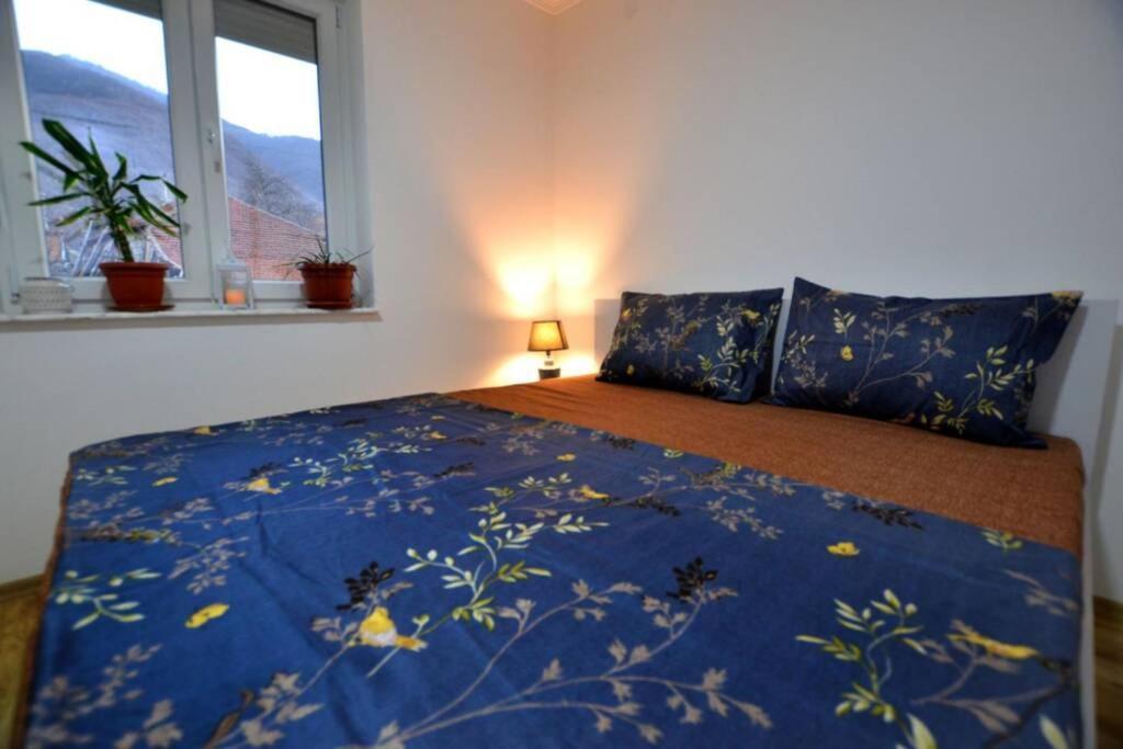 View Apartments Belasica Mokrijevo Εξωτερικό φωτογραφία